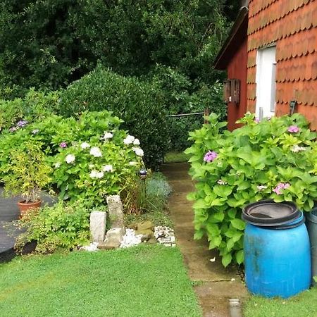 Ferienwohnung Im Waldwinkel Stadthagen Extérieur photo