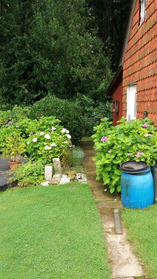 Ferienwohnung Im Waldwinkel Stadthagen Extérieur photo
